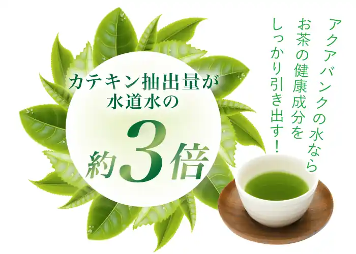カテキン抽出量が水道水の約3倍